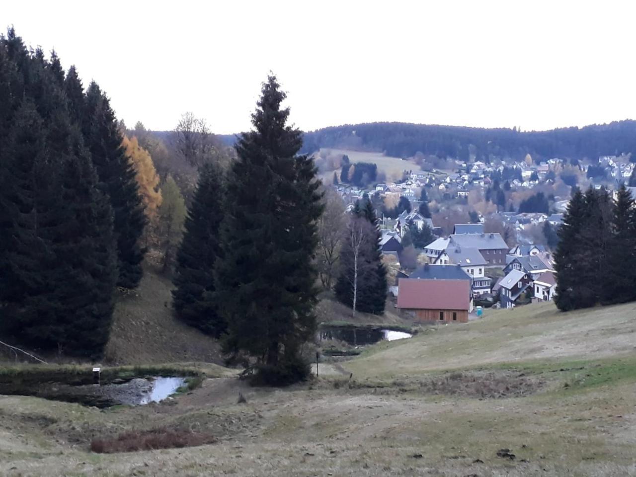 Pension Waldidyll Stutzerbach Exterior photo